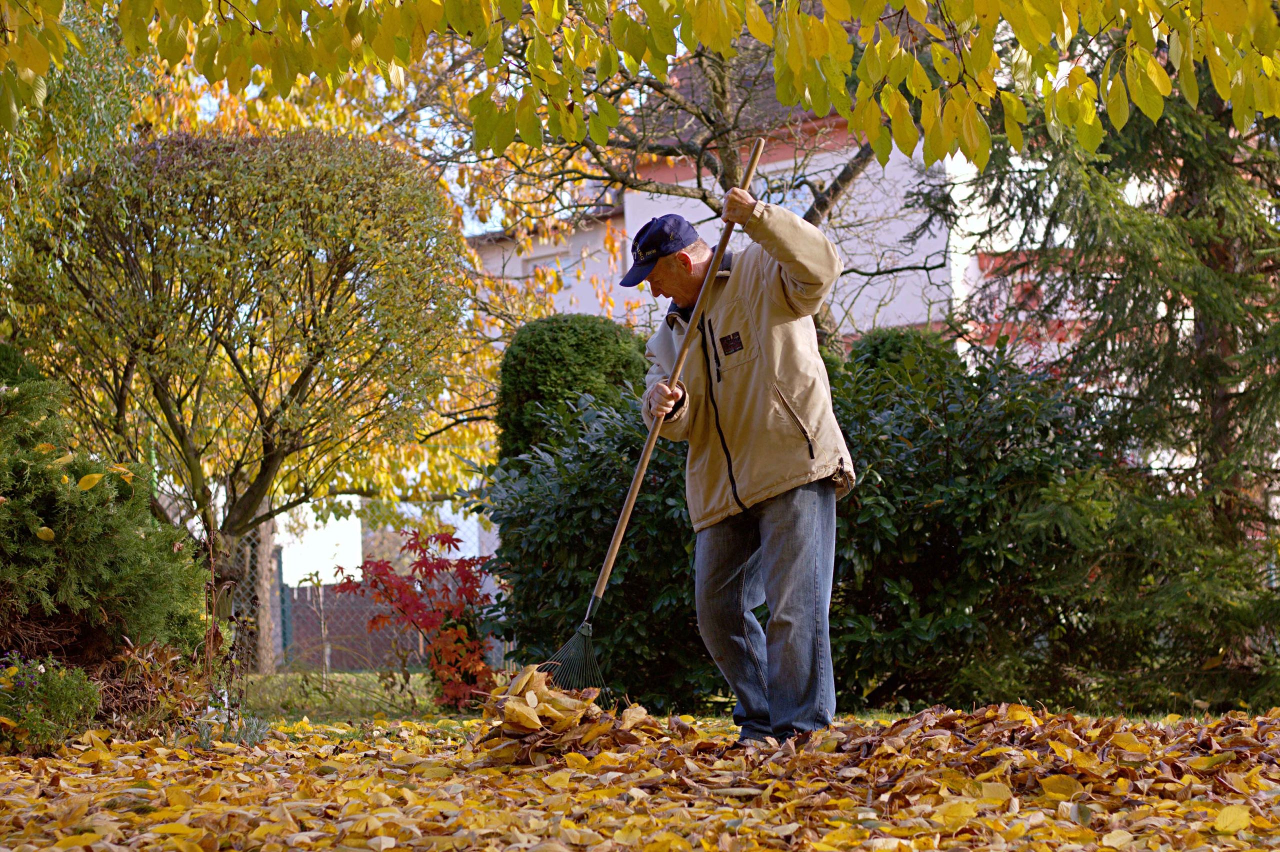 Tips to Stay Safe While Doing Autumn Yardwork